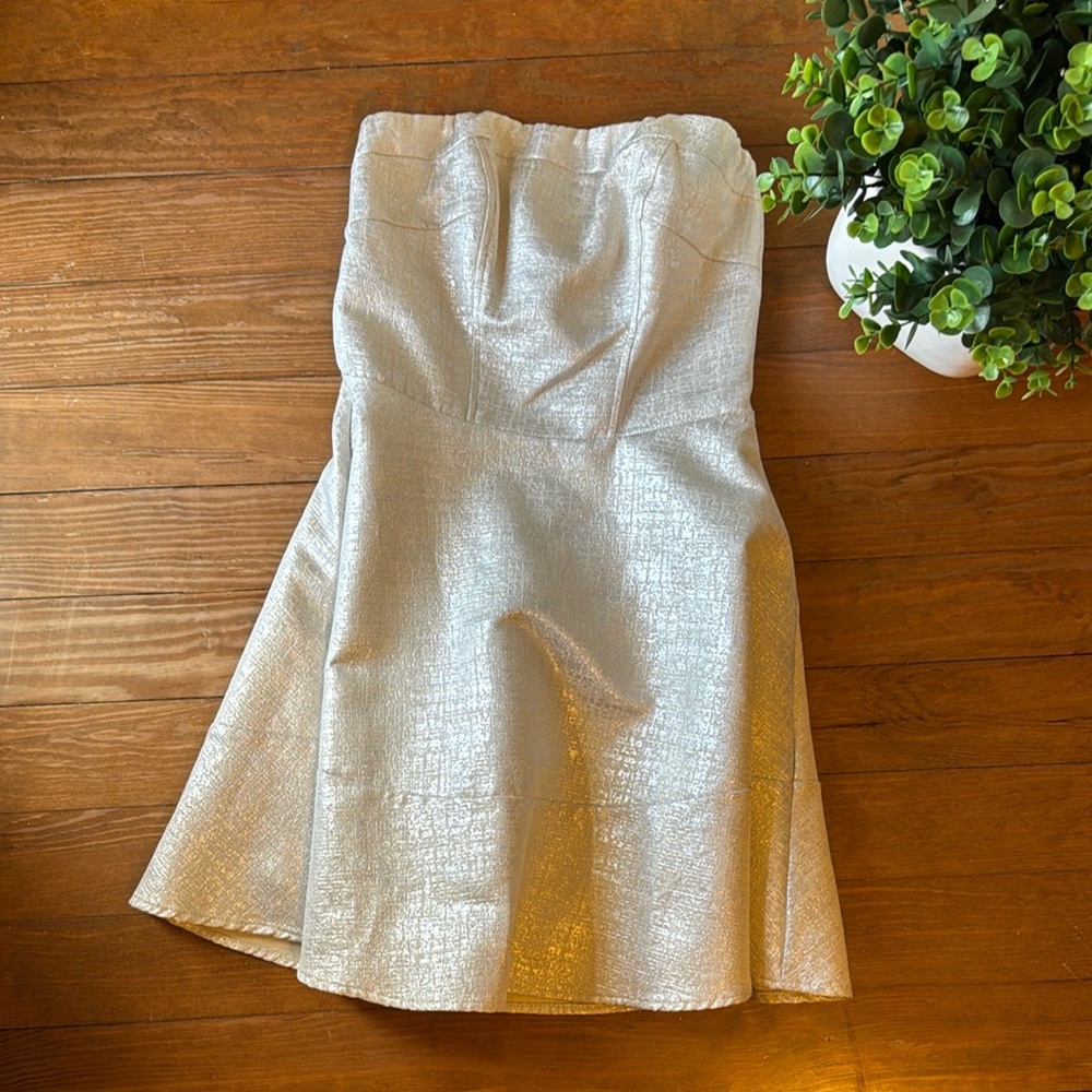 Express Silvery White Strapless Dress